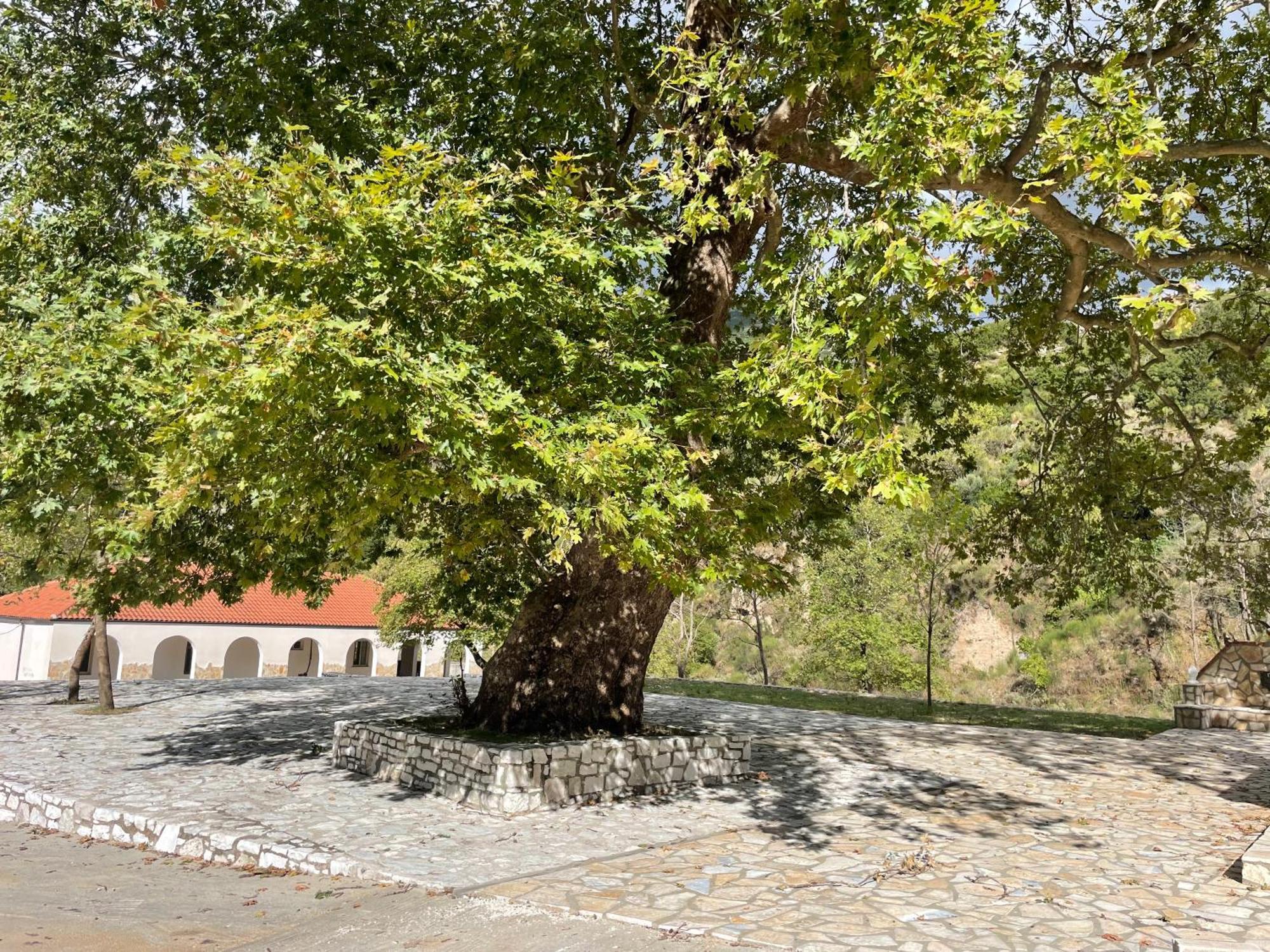 Ferienhaus Sinan Moraci *